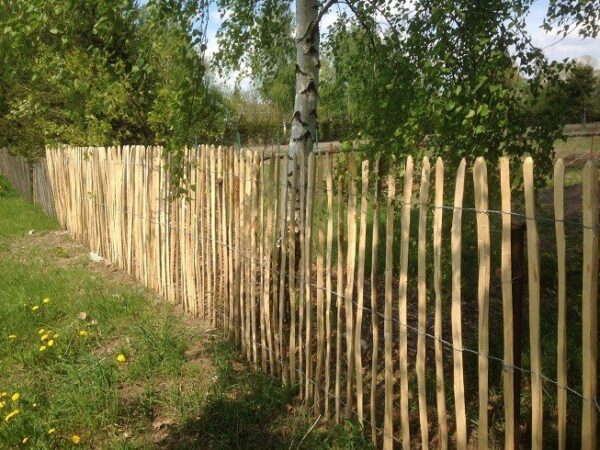 Ganivelle en noisetier H.1,20 x L.5 m